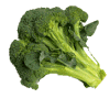 brocoli.GIF (5463 bytes)